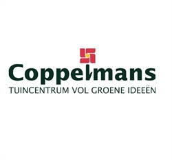 Coppelmans openingstijden