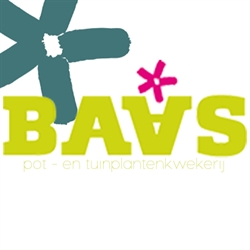Kwekerij Baas openingstijden
