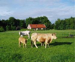 Minicamping / Boerderijappartementen Erve Vleerbosch, Haarle openingstijden