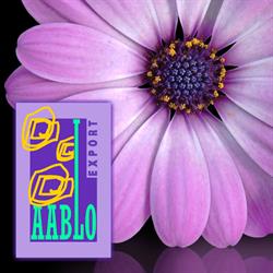 Aablo Export BV, De Kwakel openingstijden