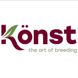 Kunst Alstroemeria, Nieuwveen openingstijden