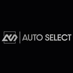 Auto Select, Berkel en Rodenrijs openingstijden