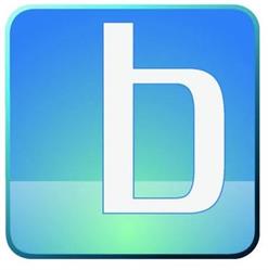 Bassant Accountants, Rotterdam openingstijden
