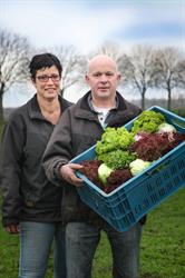 Biekens Groente en Fruit, Elshout openingstijden