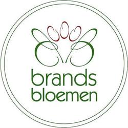 Bloemenboetiek Brands, Spijkenisse openingstijden