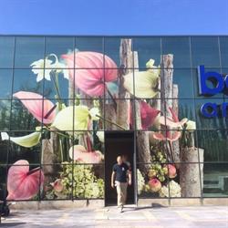 Bouman Anthuriums, Berkel en Rodenrijs openingstijden