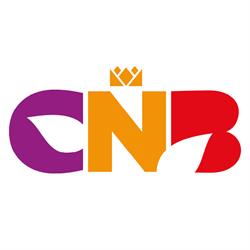 CNB, Lisse openingstijden