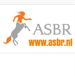 ASBR B.V., Hoogezand openingstijden