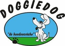 Doggiedog Hondencreche, Amsterdam openingstijden