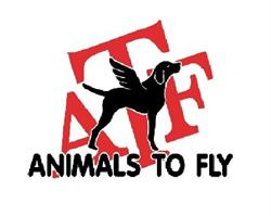 Animals To Fly / Dtc Bv, Hoofddorp openingstijden