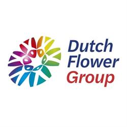Dutch Flower Group B.v., De Kwakel openingstijden