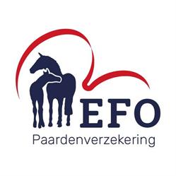 EFO Paardenverzekering / Eerste Friesche Onderlinge, Heerenveen openingstijden