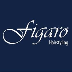 Figaro Hairstyling ?, Montfoort openingstijden