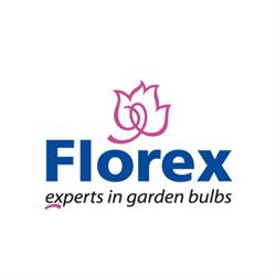 Florex B.v., Grootebroek openingstijden