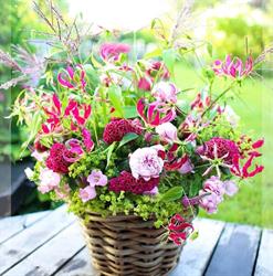 Flowershop Goes, openingstijden