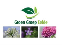 Groen Groep Eelde B.v., openingstijden