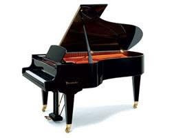 Albert Hahn Pianos en Orgels B.v., Groningen openingstijden