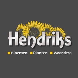 Hendriks Bloemen, Heerlen openingstijden