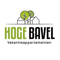 Hoge Bavel, de Lutte openingstijden