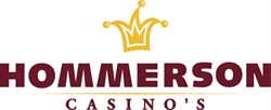 Hommerson Arcades, 's-Gravenhage openingstijden