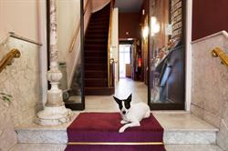 Hotel Zandbergen, Amsterdam openingstijden