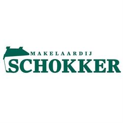 Makelaardij John Schokker B.v., Groningen openingstijden