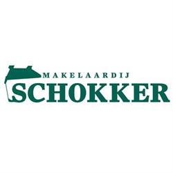 Makelaardij John Schokker B.v., Groningen openingstijden