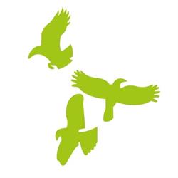 Academie Kraaybeekerhof, Driebergen-Rijsenburg openingstijden