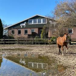 Manege Nijhuis, Eibergen openingstijden