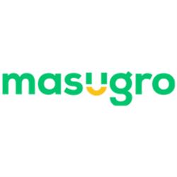 Masugro ICT BV, Veenendaal openingstijden