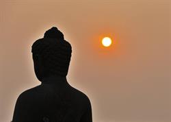 Merapi Tour & Travel, Overasselt openingstijden