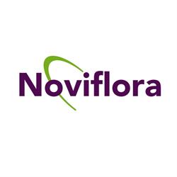Noviflora Holland B.v., Honselersdijk openingstijden