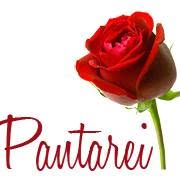 Pantarei Pey Echt - openingstijden