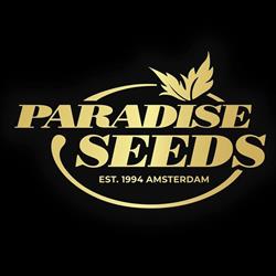 Paradise Seeds, Amsterdam openingstijden