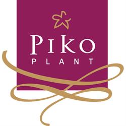 Piko Plant, Nootdorp openingstijden