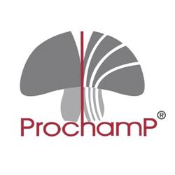 Prochamp, Velddriel openingstijden