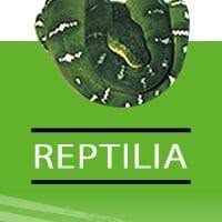 Reptilia, 's-Gravenhage openingstijden