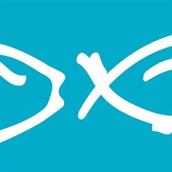 Seafood Connection B.V., Urk openingstijden