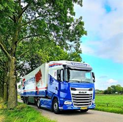 P. Solleveld Export B.v., Maasdijk openingstijden