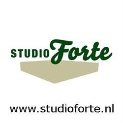 Studio Forte, Zwolle openingstijden