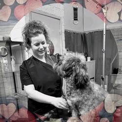 Hondentrimsalon Bianca, Apeldoorn openingstijden