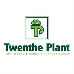 Twenthe Plant, Hengelo openingstijden