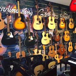 Van Vliet Muziek, Woerden openingstijden