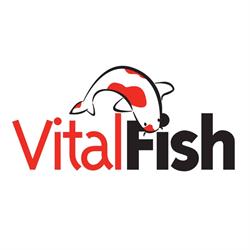 Vital Fish, Boskoop openingstijden
