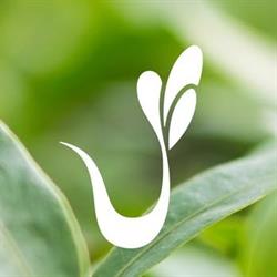 Vitro Plus, Burgh-Haamstede openingstijden