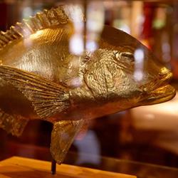 Auberge Des Moules, Philippine openingstijden