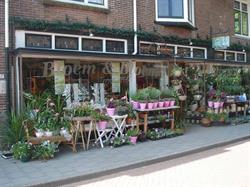 Bloem en Bloem, Weesp openingstijden