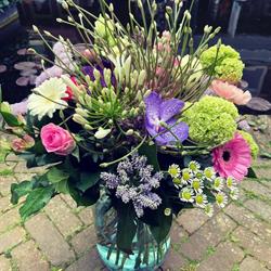 Hortus Flora, Maassluis openingstijden