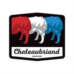Chateaubriand, Heemstede openingstijden