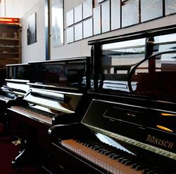 Cox Pianoservice, Gouda openingstijden
